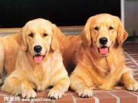 宁波腾云智能科技有限公司