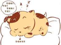 宁波腾云智能科技有限公司
