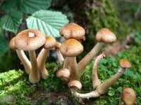 宁波腾云智能科技有限公司