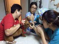 宁波腾云智能科技有限公司