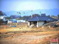 宁波腾云智能科技有限公司