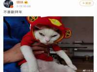 宁波腾云智能科技有限公司