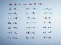 宁波腾云智能科技有限公司
